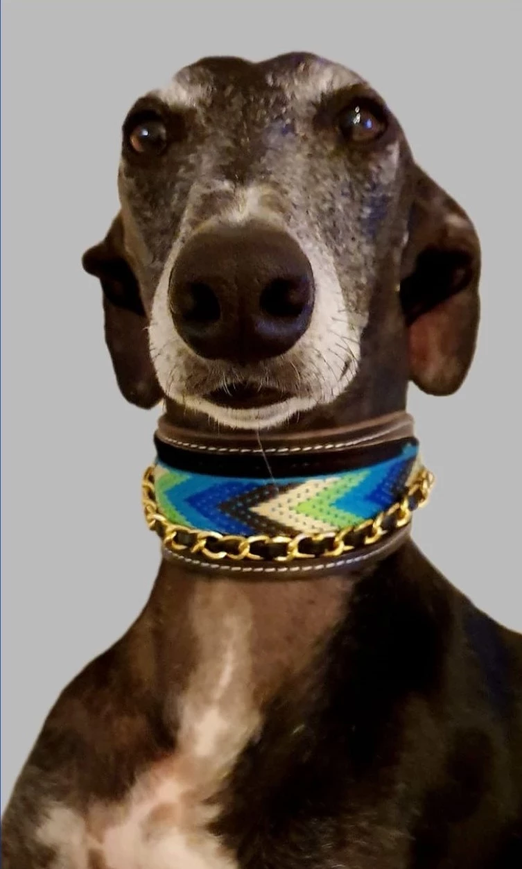 Hunde