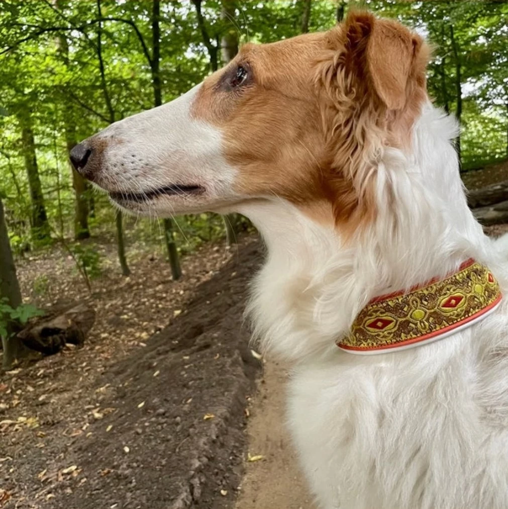 Hunde