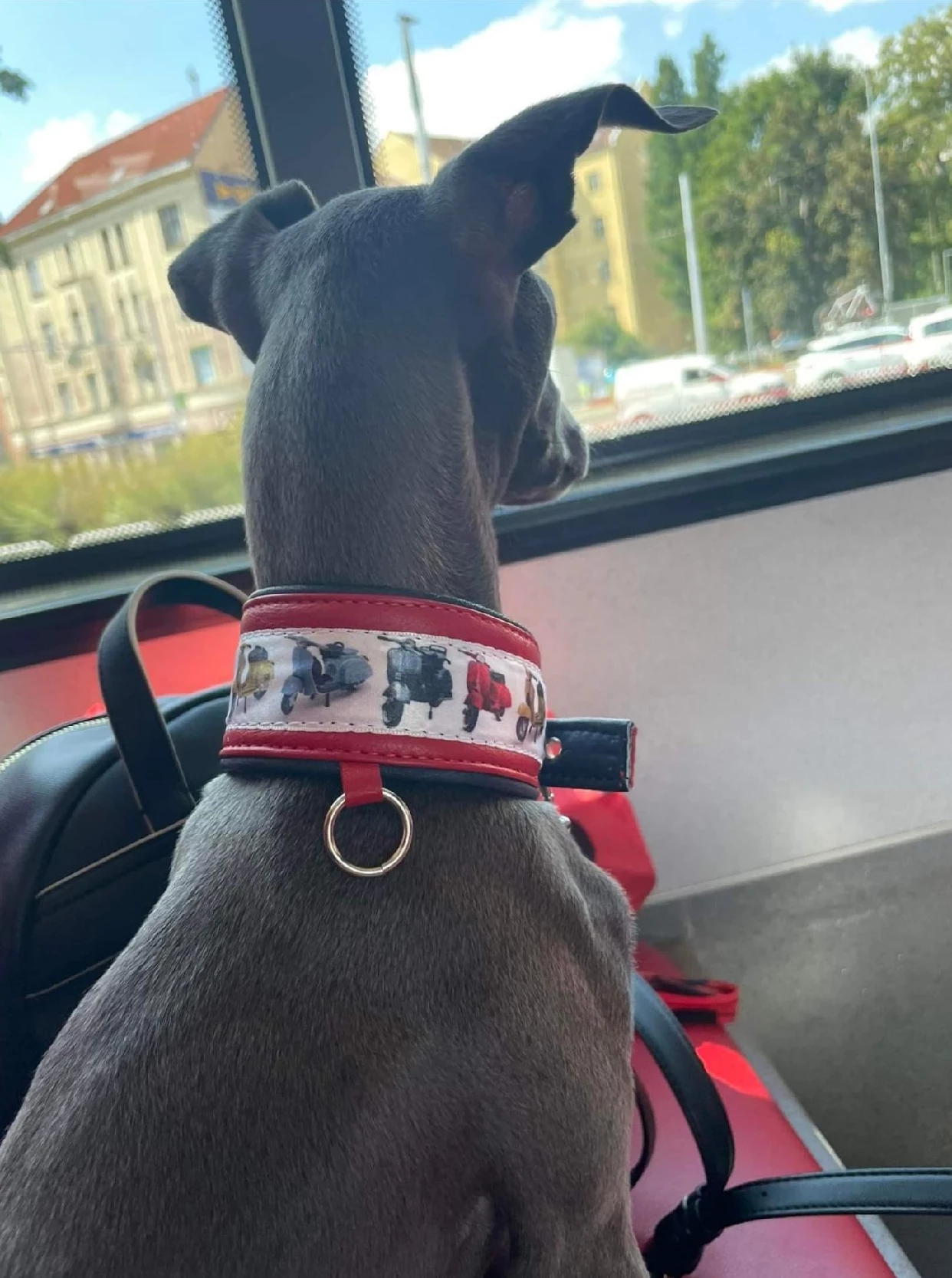 Hunde