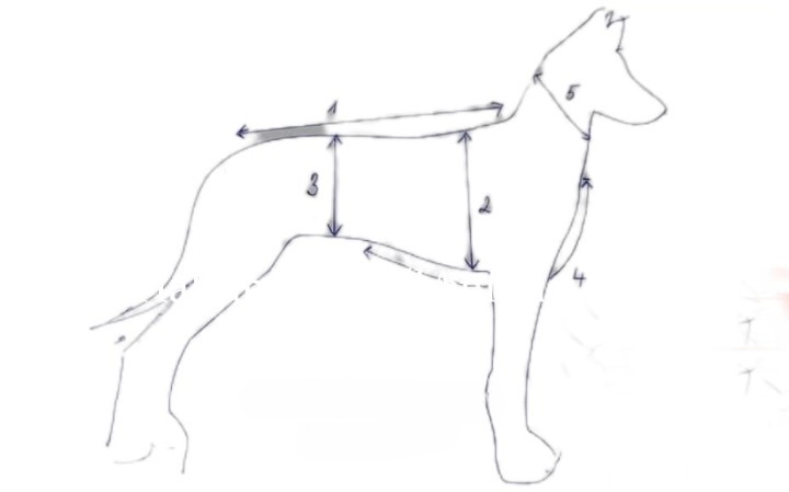 Messanleitung Windhund-Mantel