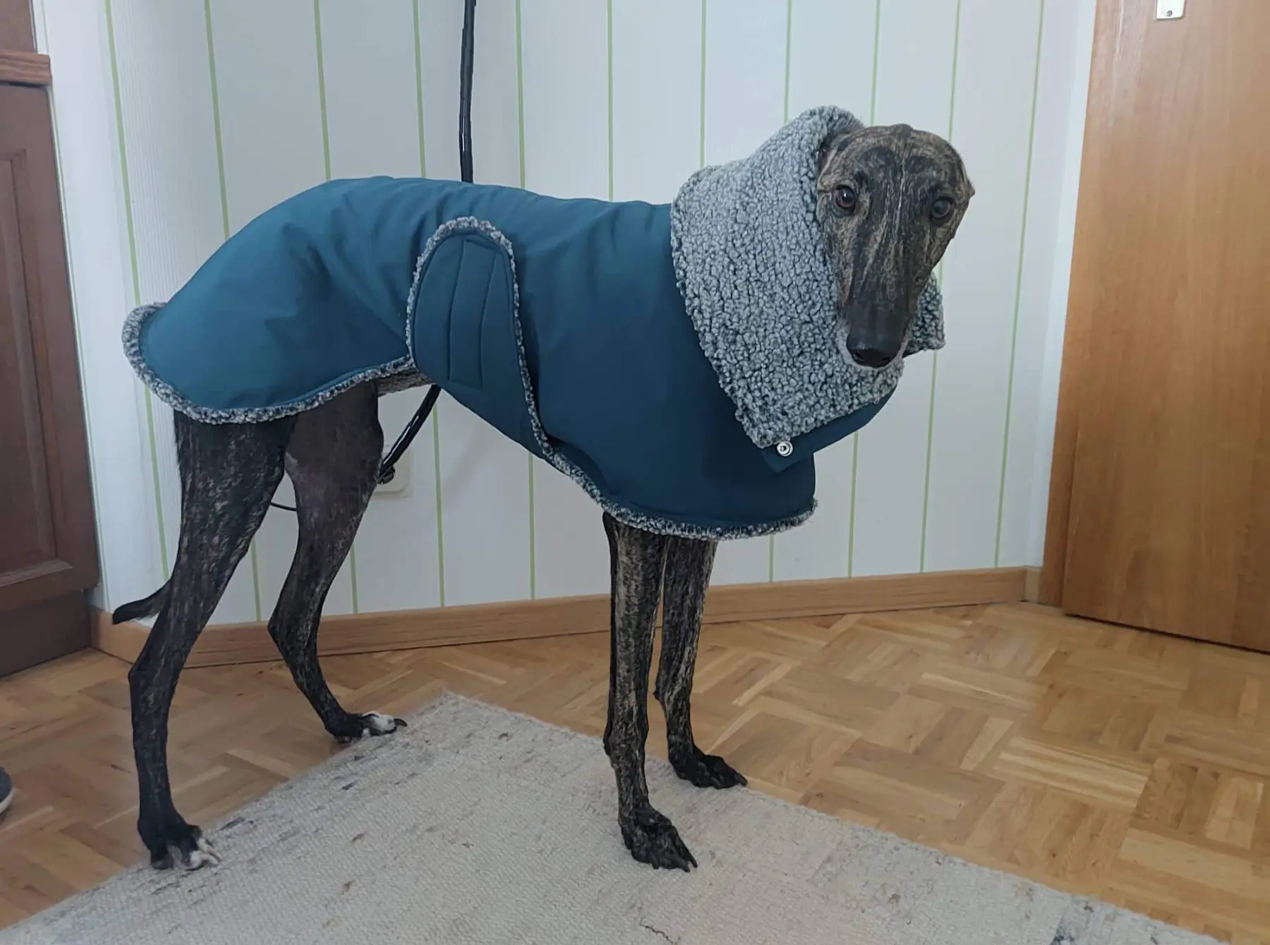 Hunde
