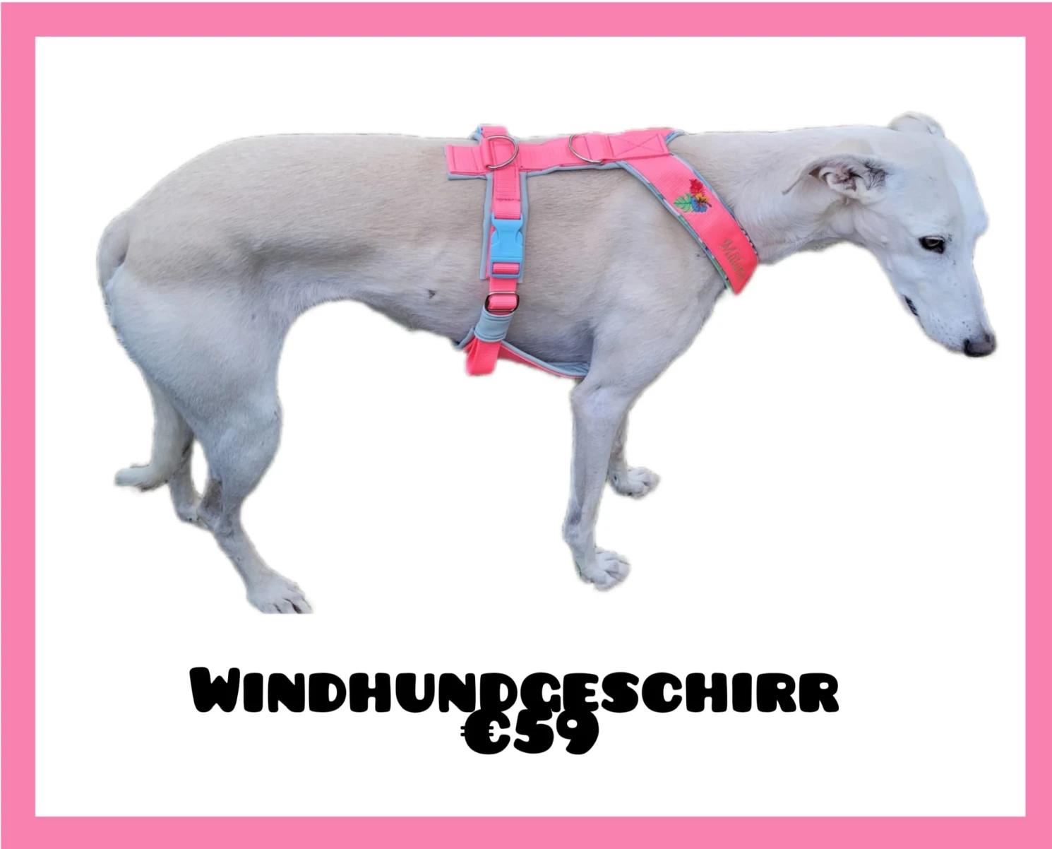 Geschirre