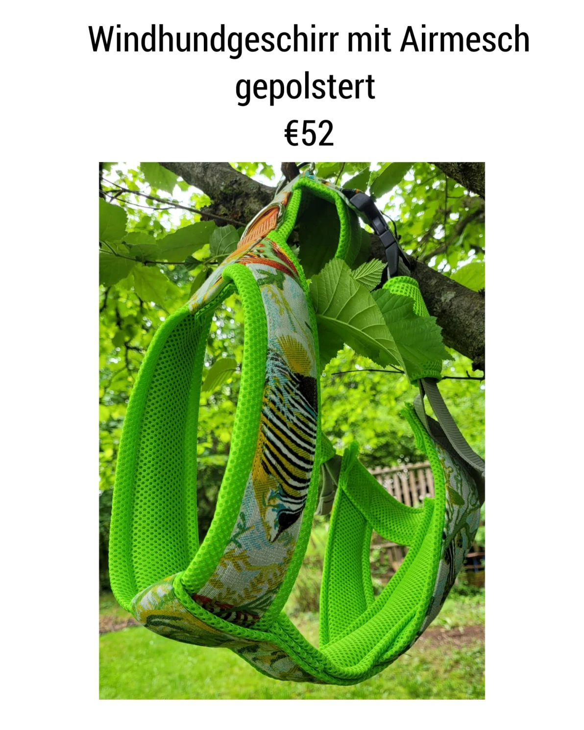 Geschirre