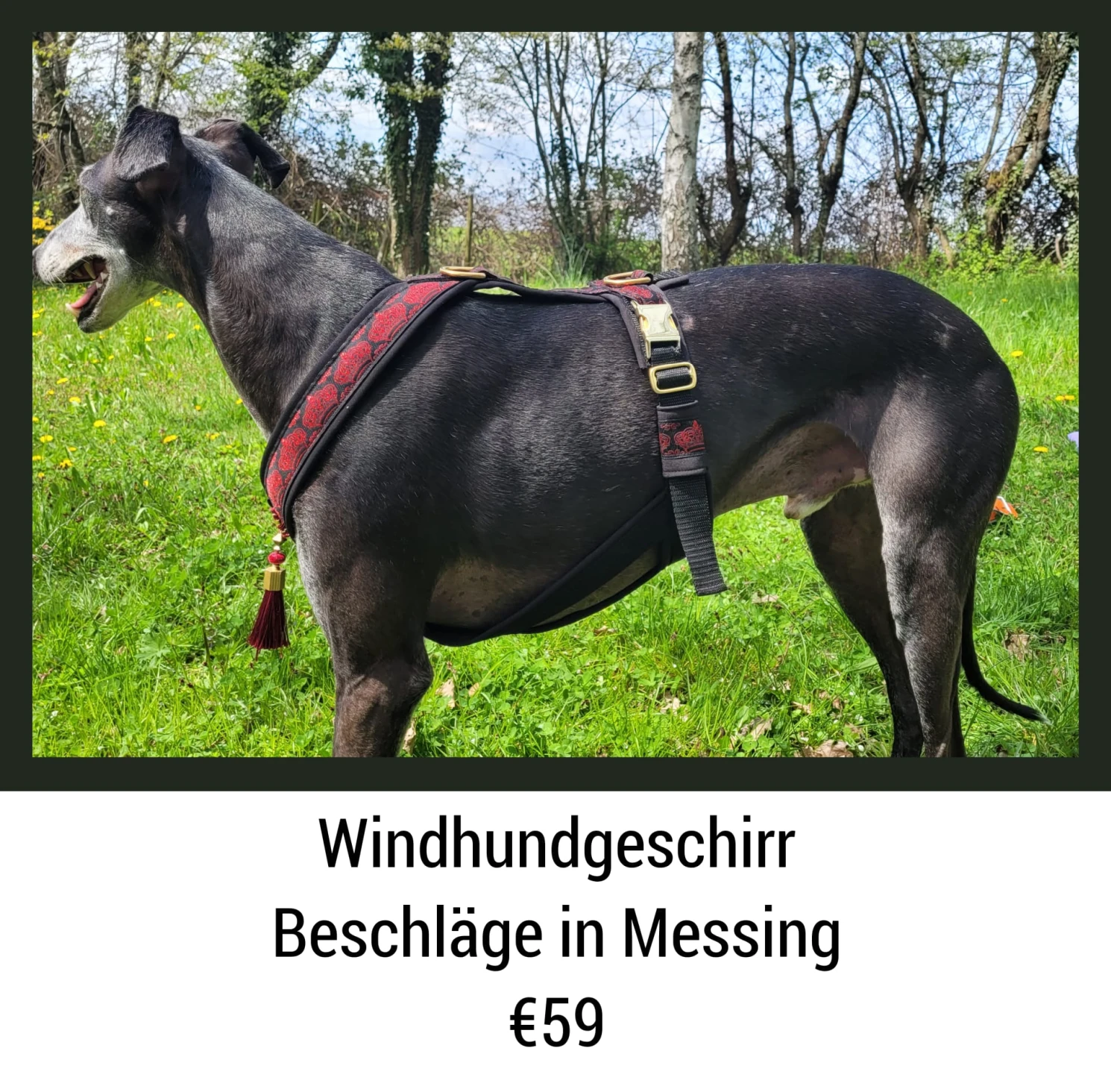 Geschirre