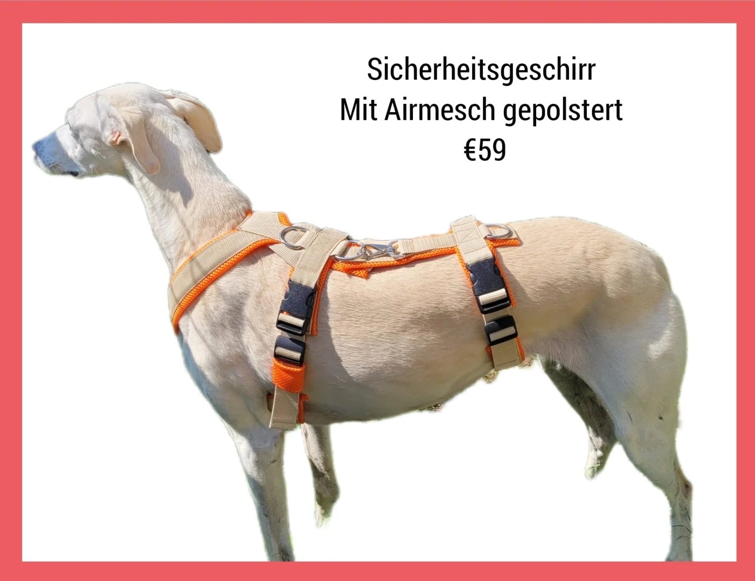 Geschirre