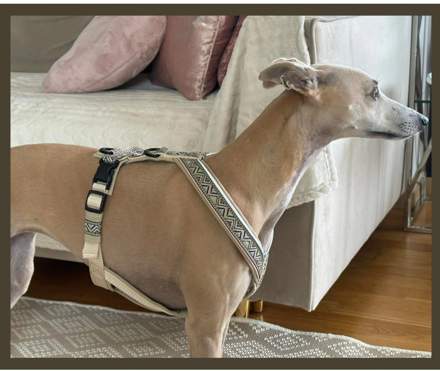 Hunde