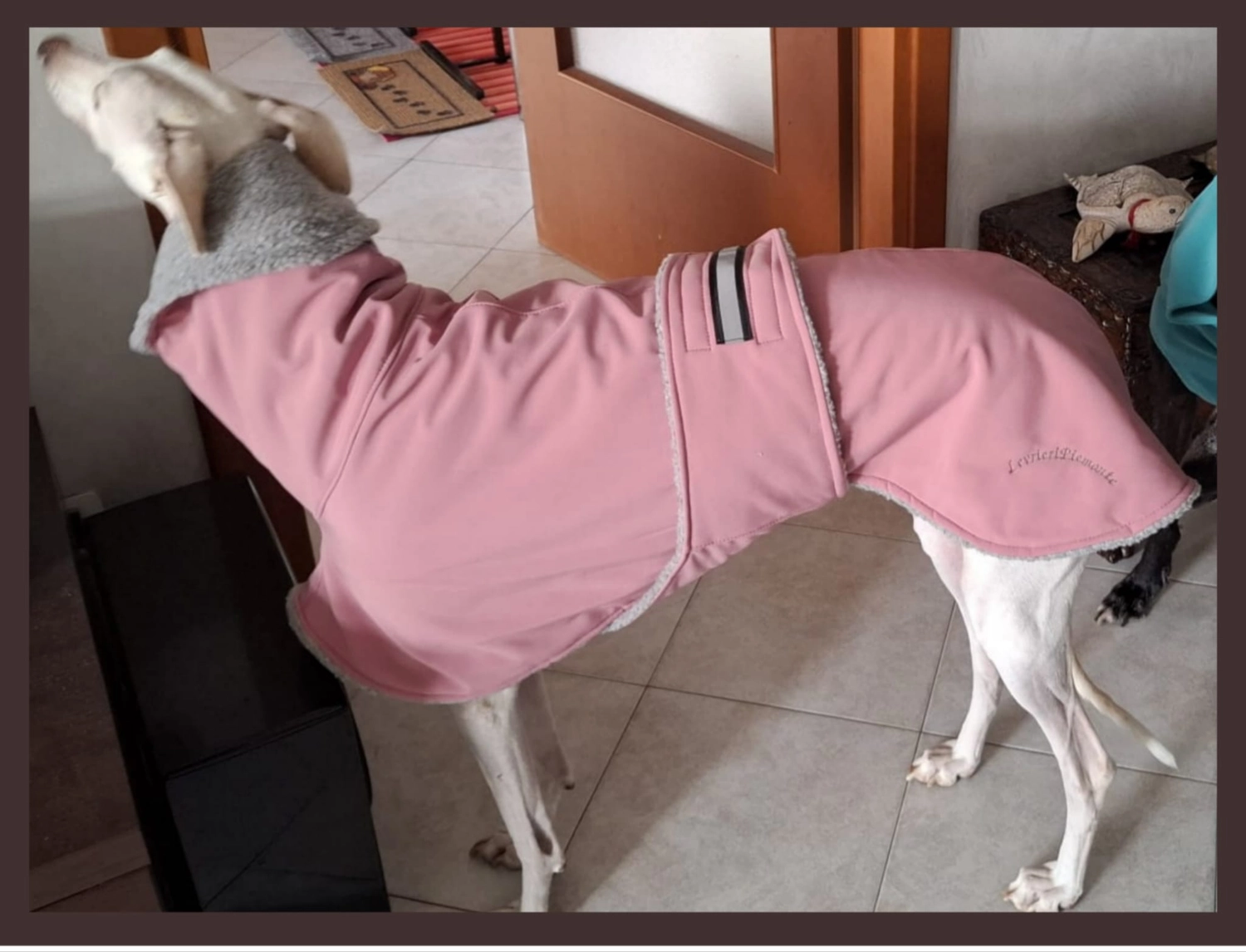 Hunde