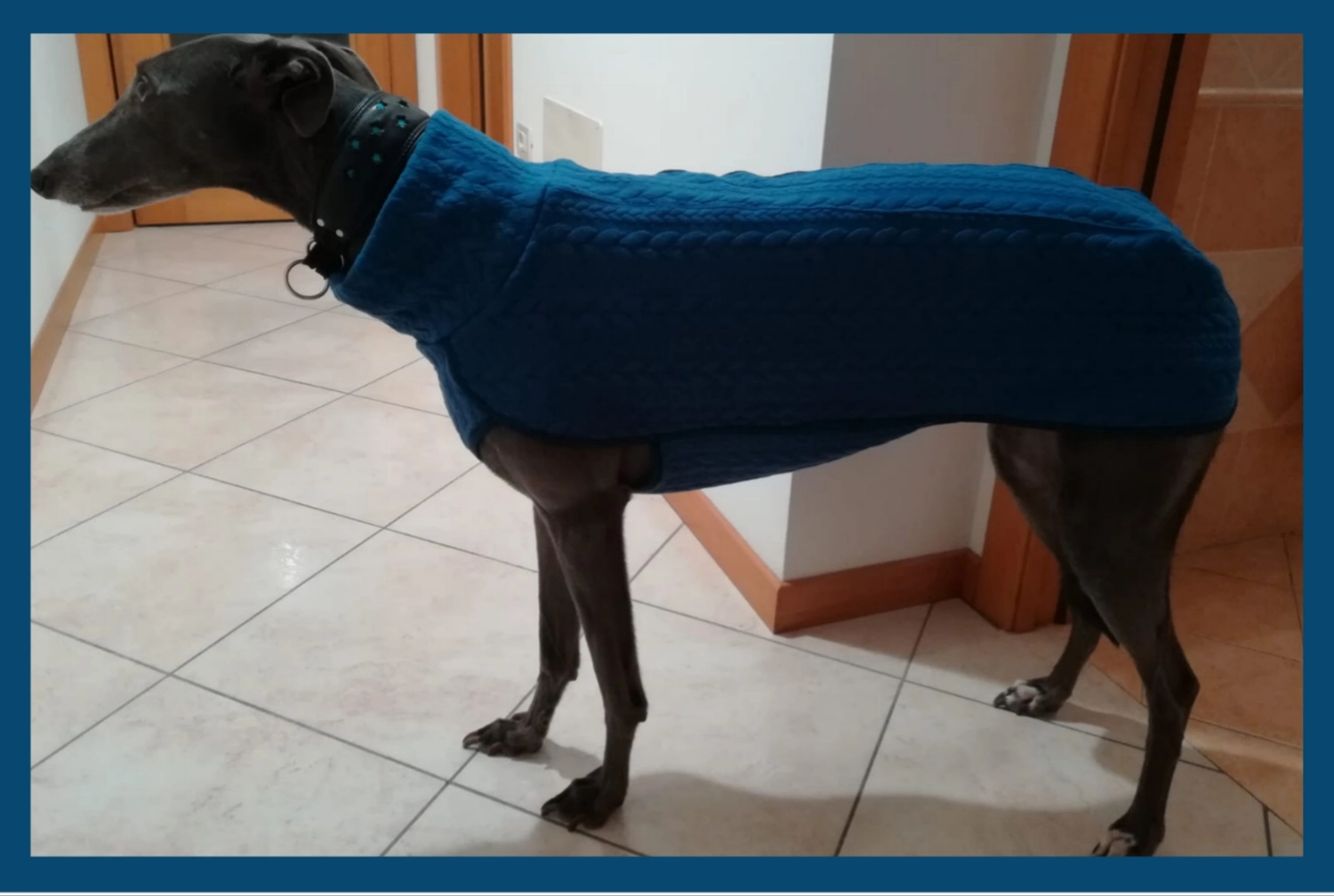 Hunde