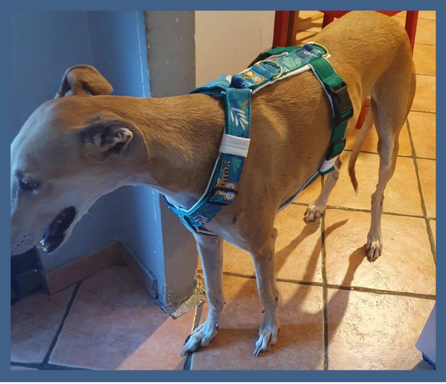 Hunde